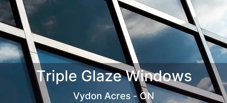  Triple Glaze Windows Vydon Acres - ON