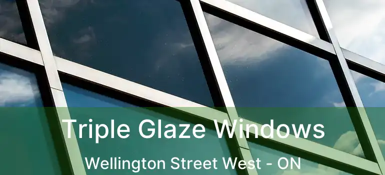  Triple Glaze Windows Wellington Street West - ON