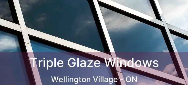  Triple Glaze Windows Wellington Village - ON