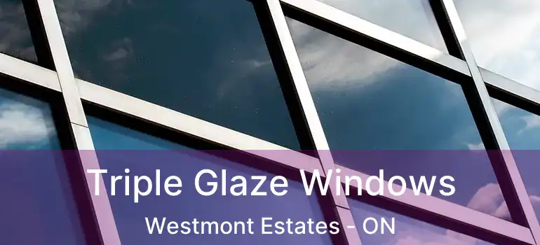  Triple Glaze Windows Westmont Estates - ON