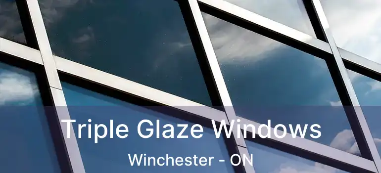  Triple Glaze Windows Winchester - ON