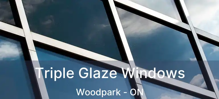  Triple Glaze Windows Woodpark - ON