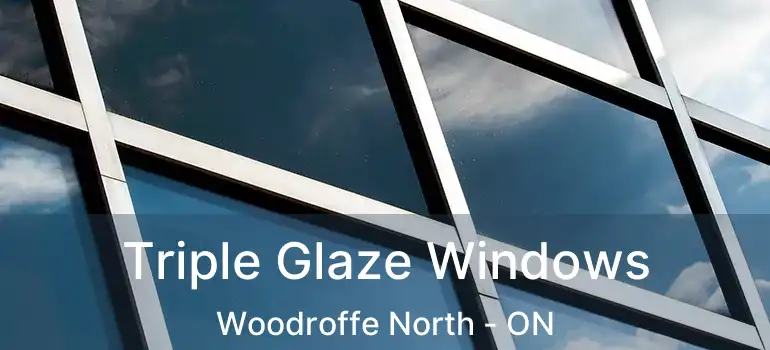  Triple Glaze Windows Woodroffe North - ON