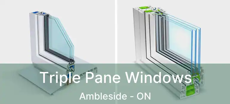  Triple Pane Windows Ambleside - ON