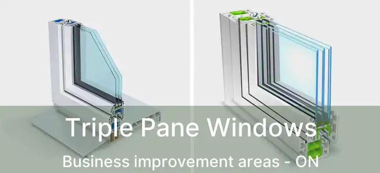  Triple Pane Windows Business improvement areas - ON