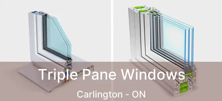  Triple Pane Windows Carlington - ON