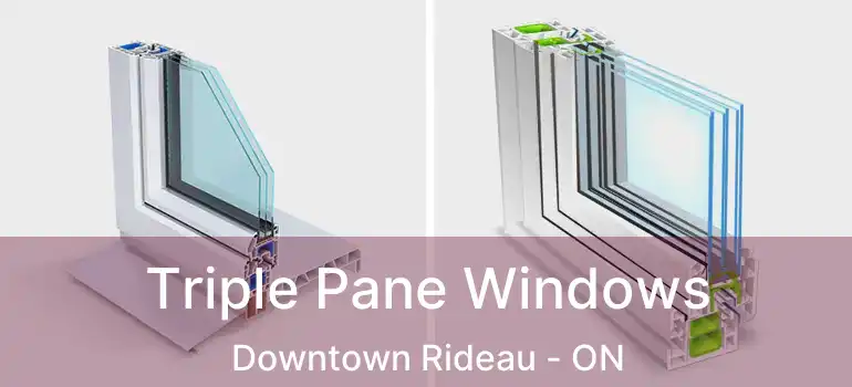  Triple Pane Windows Downtown Rideau - ON