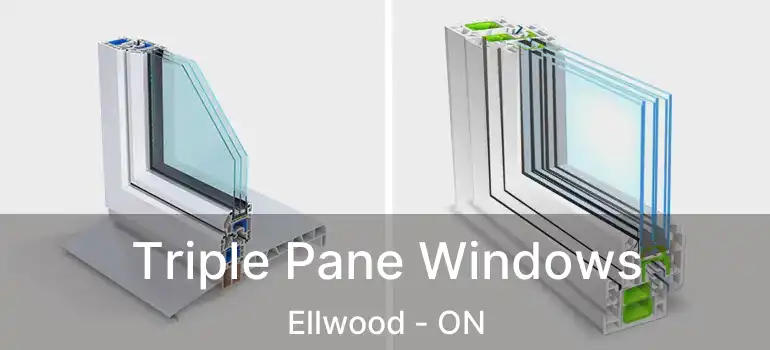  Triple Pane Windows Ellwood - ON