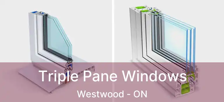  Triple Pane Windows Westwood - ON