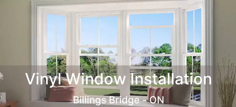  Vinyl Window Installation Billings Bridge - ON