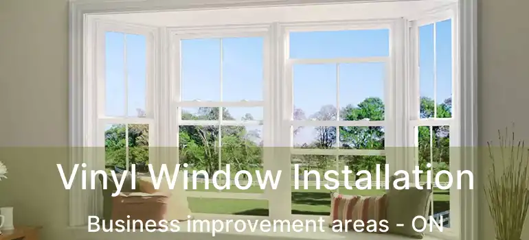  Vinyl Window Installation Business improvement areas - ON