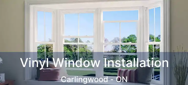  Vinyl Window Installation Carlingwood - ON