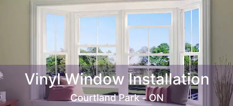  Vinyl Window Installation Courtland Park - ON