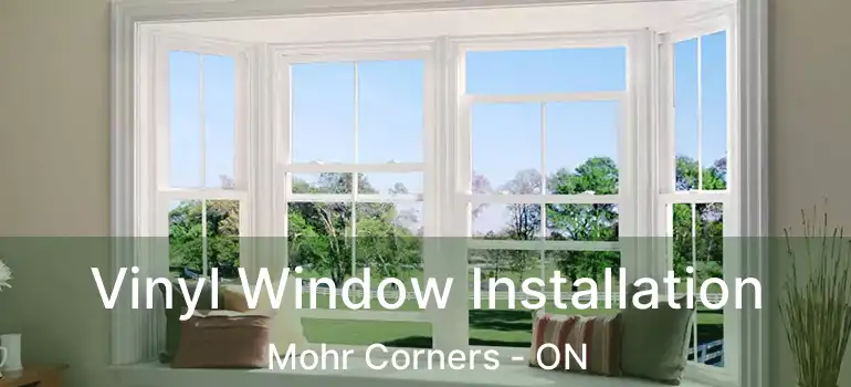  Vinyl Window Installation Mohr Corners - ON