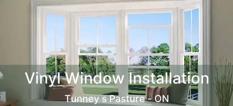  Vinyl Window Installation Tunney s Pasture - ON