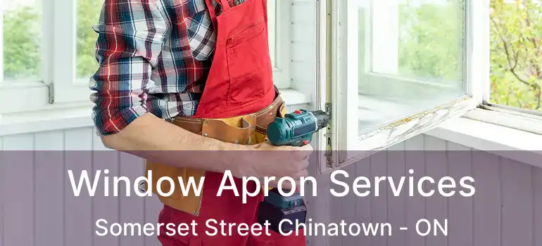  Window Apron Services Somerset Street Chinatown - ON