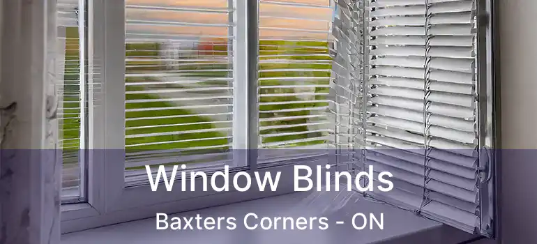  Window Blinds Baxters Corners - ON