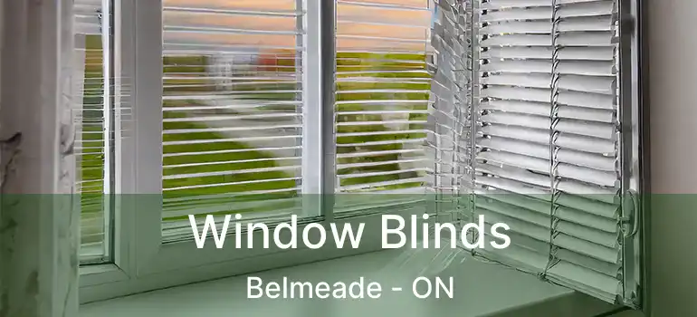  Window Blinds Belmeade - ON