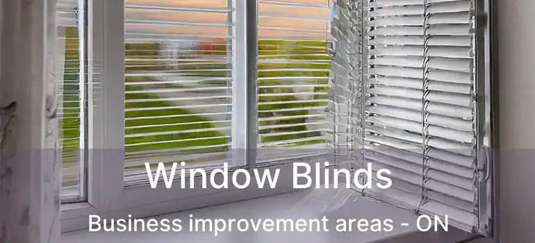  Window Blinds Business improvement areas - ON