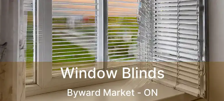  Window Blinds Byward Market - ON