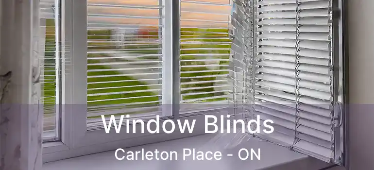  Window Blinds Carleton Place - ON