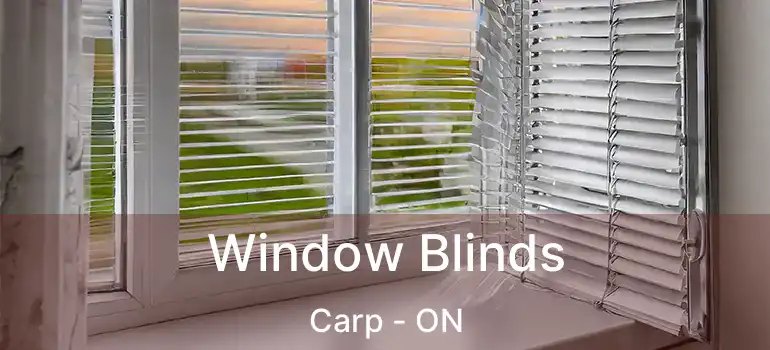  Window Blinds Carp - ON