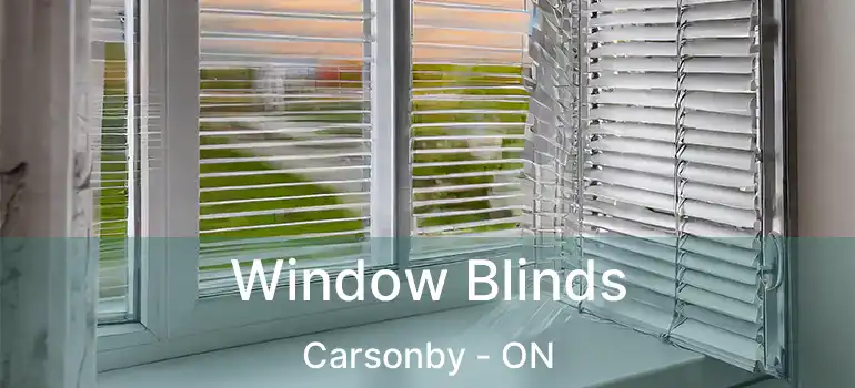  Window Blinds Carsonby - ON