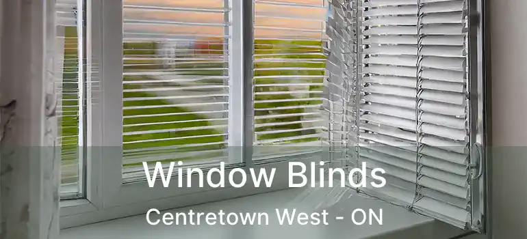  Window Blinds Centretown West - ON