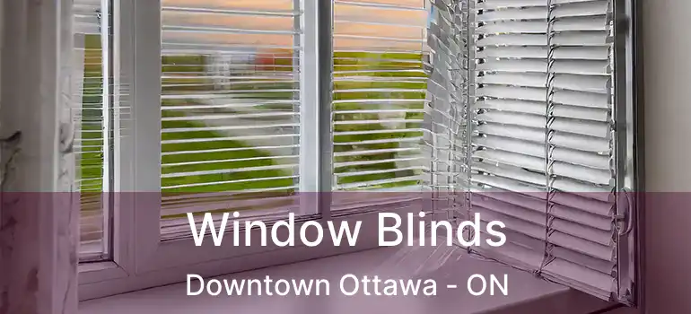  Window Blinds Downtown Ottawa - ON