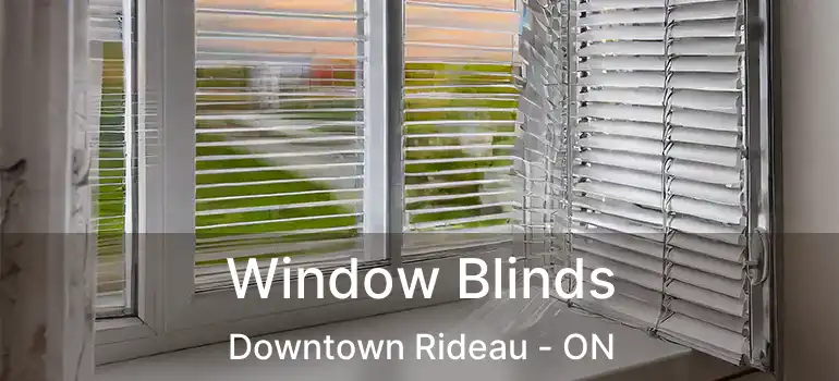  Window Blinds Downtown Rideau - ON