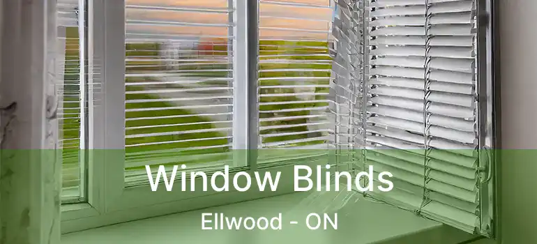  Window Blinds Ellwood - ON