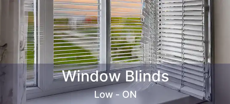  Window Blinds Low - ON