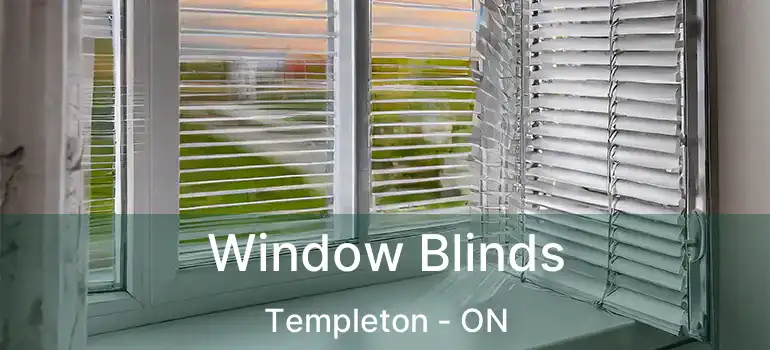  Window Blinds Templeton - ON