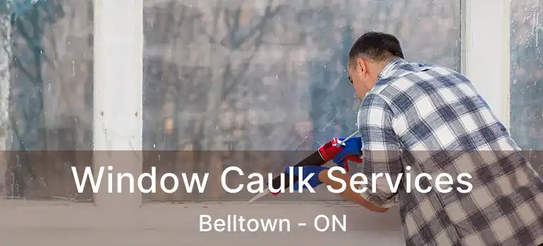  Window Caulk Services Belltown - ON