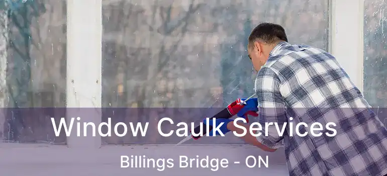  Window Caulk Services Billings Bridge - ON