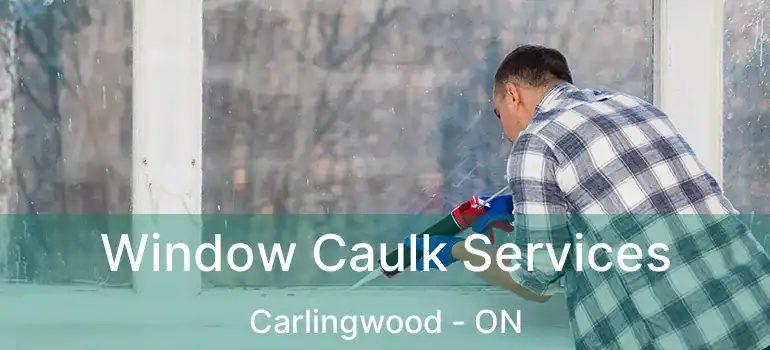  Window Caulk Services Carlingwood - ON