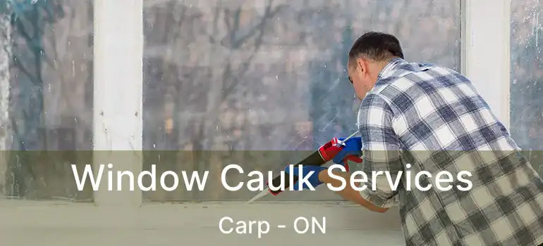  Window Caulk Services Carp - ON