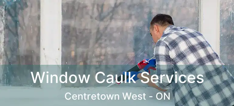  Window Caulk Services Centretown West - ON