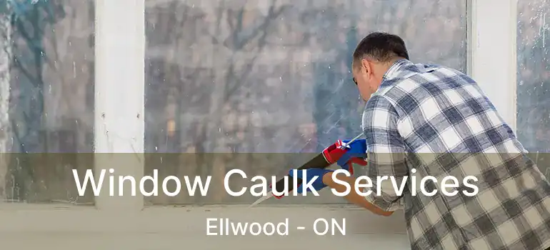  Window Caulk Services Ellwood - ON