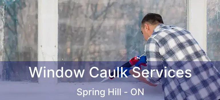  Window Caulk Services Spring Hill - ON