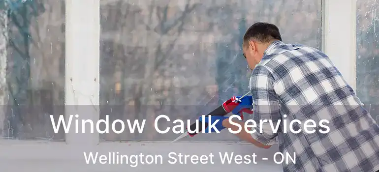  Window Caulk Services Wellington Street West - ON