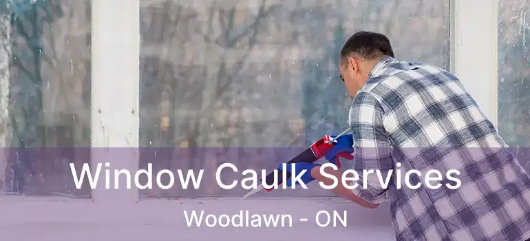  Window Caulk Services Woodlawn - ON