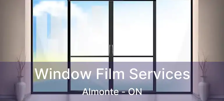  Window Film Services Almonte - ON