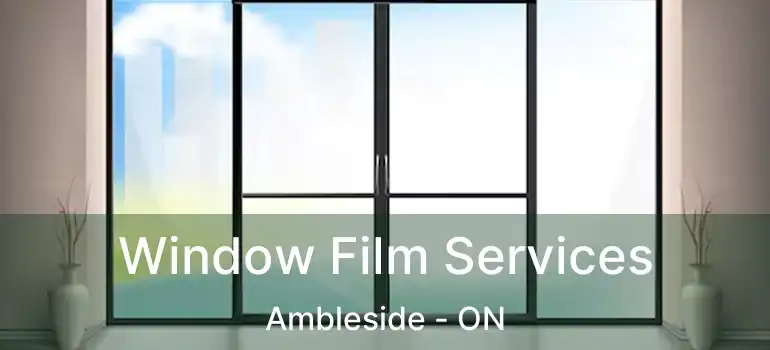  Window Film Services Ambleside - ON