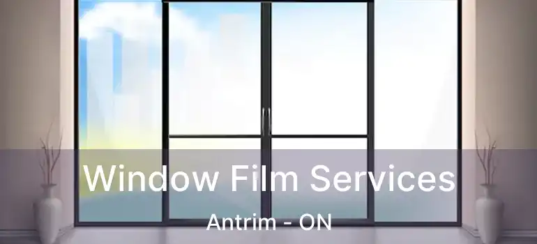  Window Film Services Antrim - ON