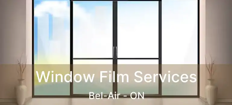  Window Film Services Bel-Air - ON