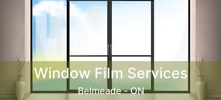  Window Film Services Belmeade - ON