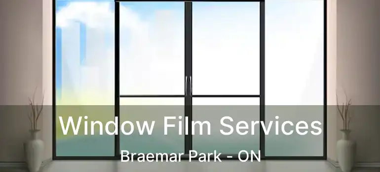  Window Film Services Braemar Park - ON