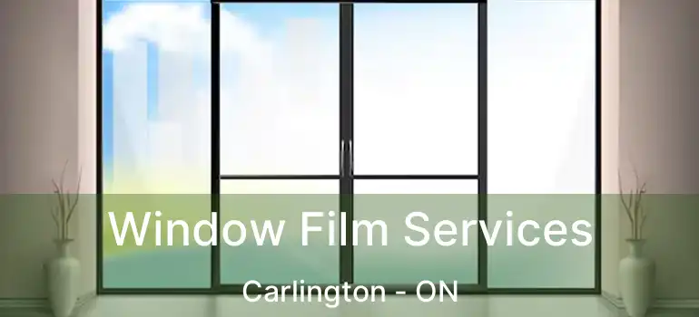  Window Film Services Carlington - ON