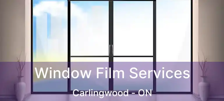  Window Film Services Carlingwood - ON